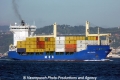 MSC Sebnem (LW-140911-05).jpg