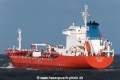 NQ Laelia SH-151123-01.jpg