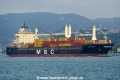 MSC Silver 2 (OK-150823-1).jpg