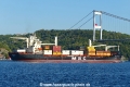 MSC Masha 3 (OK-190824-3).jpg