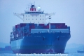 MOL Garland (MS-221011-05).jpg