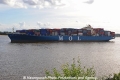 MOL Maestro 310810-04.jpg