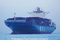 MOL Garland (MS-221011-19).jpg