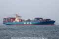 MOL Growth OS-150912-06.jpg