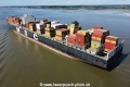 MSC Vandya TL-210823-8.jpg