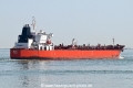 Olaf OS-240626-20.jpg