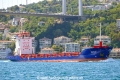 Meric (OK-190826-1).jpg