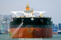 Olympic Leopard SH-180318-01.jpg