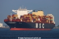 MSC Virgo TL-050921-1.jpg