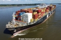 MSC Vandya TL-210823-5.jpg