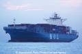 MOL Garland (MS-221011-23).jpg