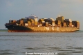 MSC Yashi B (OK-300524-0).jpg