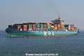 MOL Gratitude JG-170219-02.jpg