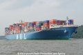 MOL Magnificence 080610-11.jpg