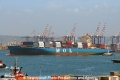 MOL Gratitude OS-020312-04.jpg