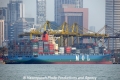 MOL Growth OS-150912-28.jpg