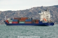 Sun Unicorn (OK-040214-3).jpg