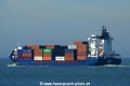Sven-D (JS-230816-16).jpg