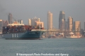 MOL Partner (MS-191012-29).jpg