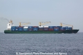 Niledutch Shenzhen (MS-101011-06).jpg
