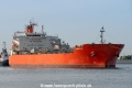 Zandolie (MM-140725-1).jpg