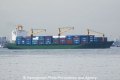 Niledutch Shenzhen (MS-101011-04).jpg