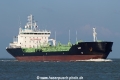 Terry SH-111116-01.jpg