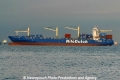 Niledutch Leopard (MS-S-231012-6).jpg