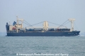 Marine Blue (TJ-201008-1).jpg