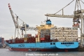 Maersk Brani (KB-D010420-02).jpg