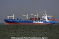 Niledutch Leopard (MS-S-231012-3).jpg