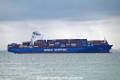Xin Yang Pu OS-151022-02.jpg