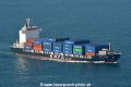Sunny Clover HK-100117-1.jpg