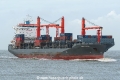 Nordamelia SH-291223-01.jpg