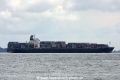 Maersk Delmont (MS-111008-02).jpg