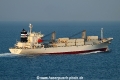 Pacific Violet OS-230325-19.jpg