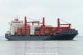 Nordisabella (KK-270516-1).jpg