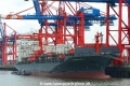 Nordisabella (KB-D180816-01).jpg