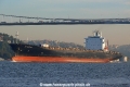 Maersk Delano (OK-101013-0).jpg