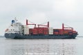 Nordisabella (KK-270516-3).jpg