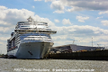 MSC Splendida 070615-02.jpg