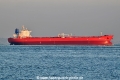 Orca Pearl OS-211024-07.jpg