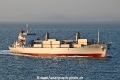 Pacific Violet OS-230325-05.jpg