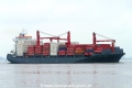Nordisabella (KK-270516-2).jpg