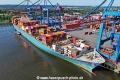MOL Proficiency (KB-D030824-01).jpg