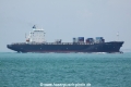 Maersk Delano (MS-260411-04).jpg