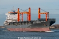 Nordmaple SH-290119-01.jpg