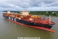 MSC Calypso (KB-D060926-14).jpg