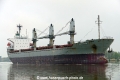 Med Rose (OK-160425-0).jpg