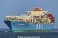 MOL Presence (MM-310714-1).jpg